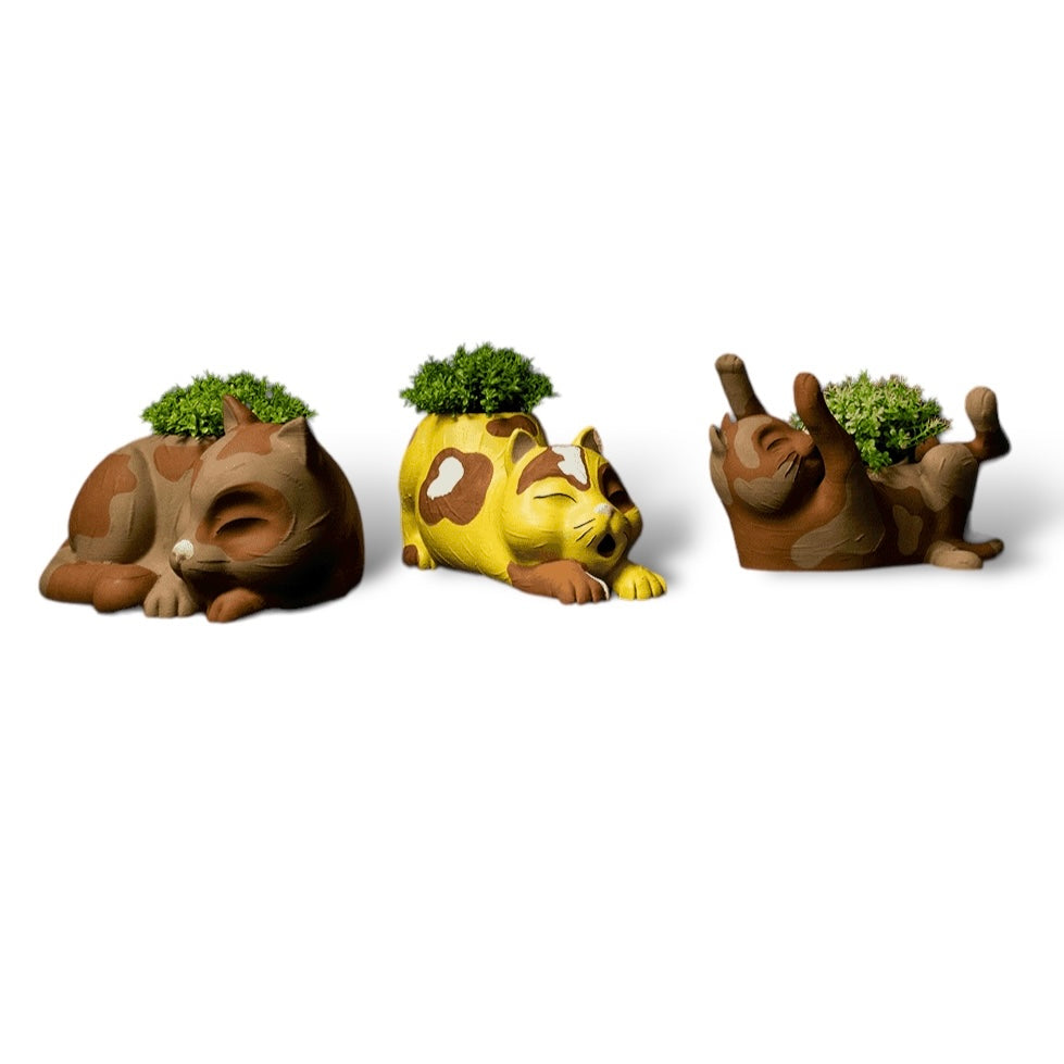 Kočko-květináč - 3D omalovánky